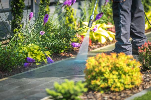 Best House Exterior Washing  in Strasburg, OH